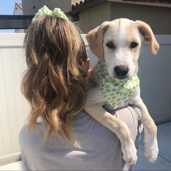 Meet your Posher, Lacey - Picture 1 of 1